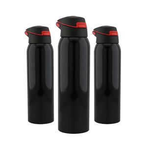 Termo Pro 6